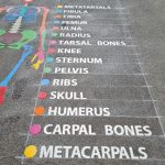 Educational Playground Markings