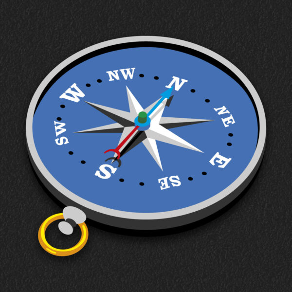 3D Compass WEB