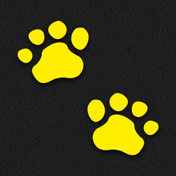 Bear Prints 2