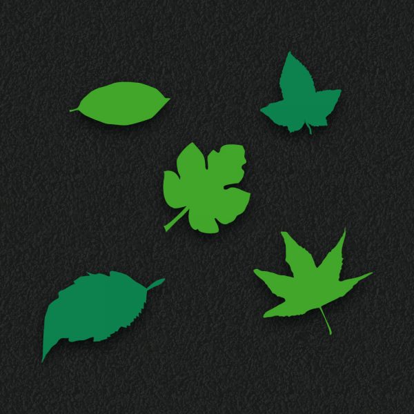 Leaf Assortment